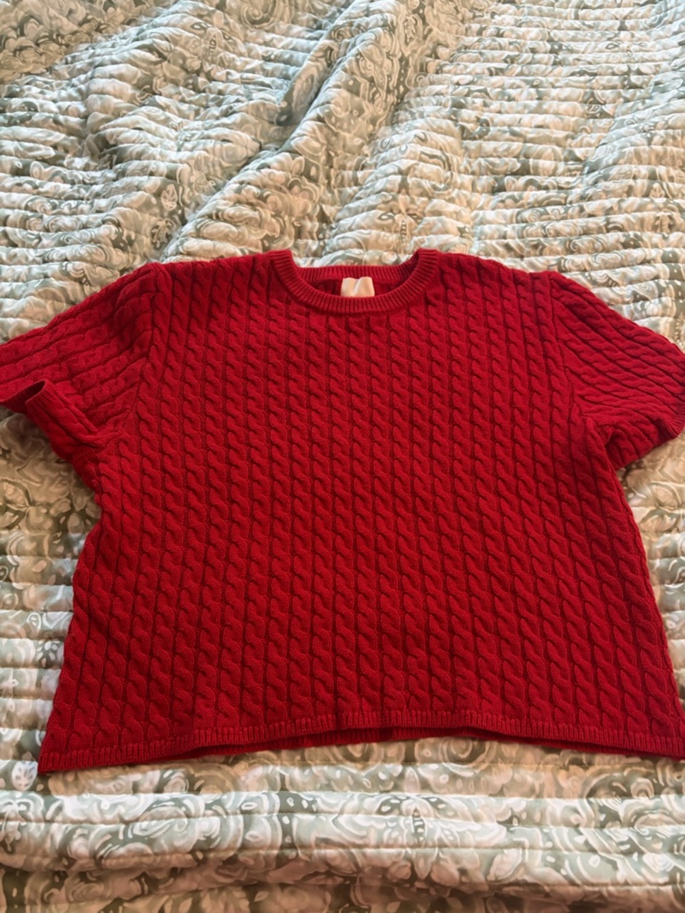 H&M Red Cable Knit Short Sleeve Sweater